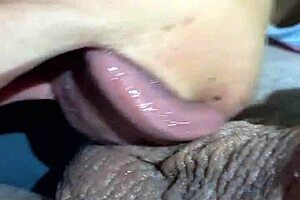 The Blowjob and ball licking by real couple