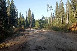 The beauty of the forest deserves to be indulged by nude solo model Mars6mars