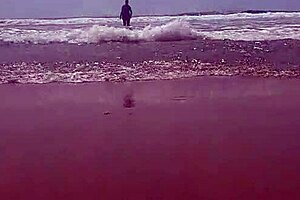 Natural tits flashing teen amateurs on public nudity beach