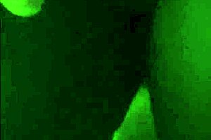 Black mamma with large natural breast has sex with member in different positions with a vibrator