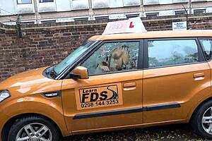 Her lessons in pleasure with a big-boobed driving instructor