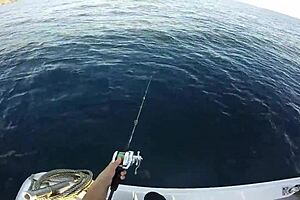 The Funny Japanese gay guys fishing for each other