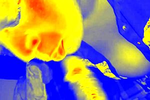 Young and plump girl rips the load in an inexperienced home sex video