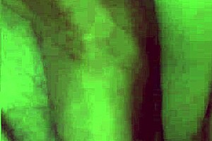 Cookie Monster and his amateur wife in hot and spicy video