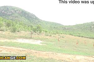 safari deepthroat blowjob of african beauty