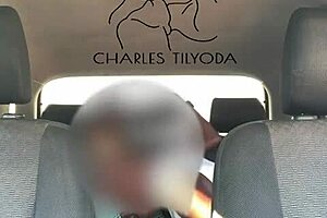 A rough ride in a car for passionate coy