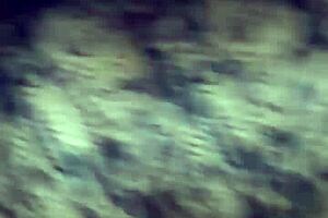 Sensual oral sex and actual pictures of her muff kept in point of view