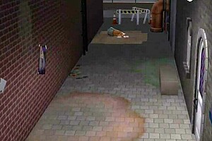 In a 3D animated setting, three cops and a busty black bartender have an erotic adventures