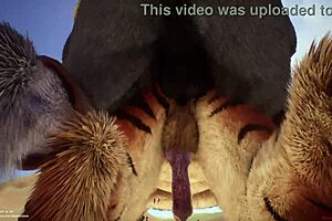 Hot anal and blowjob action between Gay furry couple