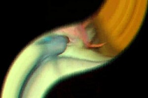 Fingering the ass with a butt plug during rough sex with my wife