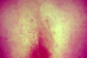 Spitting inside a pussy and creamy tranny