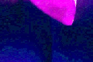 Single male luging amateurs like to dance and blow huge cocks in a gay strip club