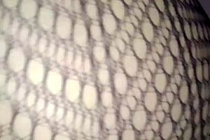 Analy sex is something fat and Latina girl enjoys