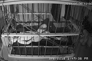 Watch the uncensored version of the Dirty gay BDSM in cage video