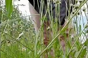 Angela MILF in a chamomile field, naked, horny and fucking.