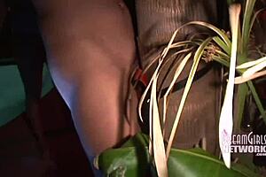 A beautiful woman has sex with a dildo that is attached to a tree