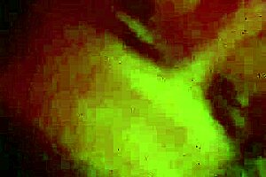 Real homemade video of a slutty teen and her boyfriend