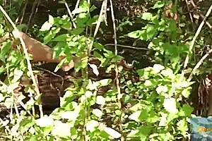 Beautiful threesome in the woods
