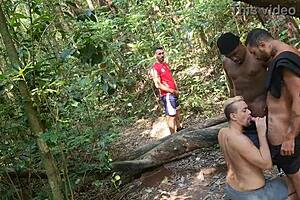 Gay outdoor adventure turns into wild group sex affair