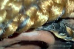 Big assed MILF gets it hard in dog style with ex lover