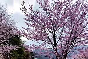 Solo trip to the natural hot spring of Minakami, Gunma Prefecture, Japan