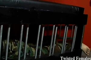 Let's play a fun little wanking game I came up with